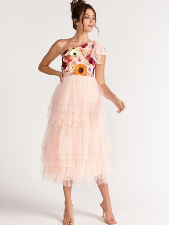 New York & Company Dresses & Skirts - NEW YORK AND COMPANY
One Shoulder 3d Floral Tulle Dress In Blush Just Me